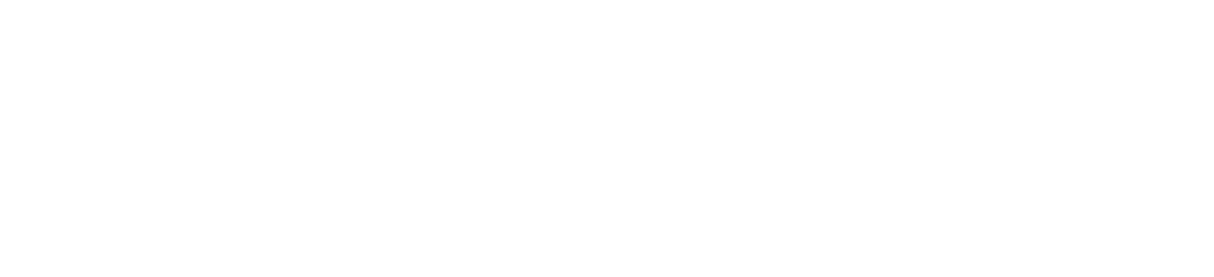 TOZIENT US